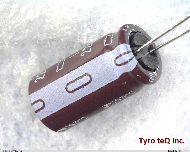 EKMG100ELL222MJ20S