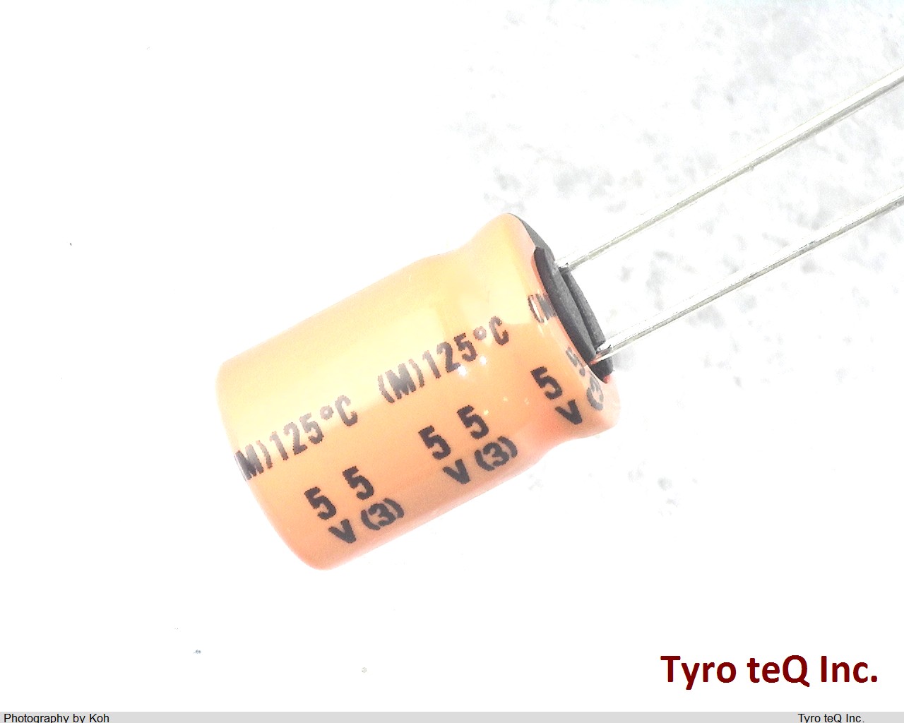 EGXE250ELL101MH12D