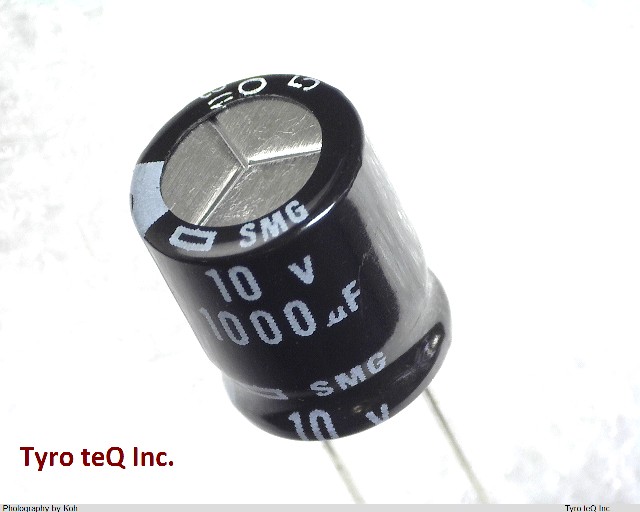 ESMG100ELL102MJC5S