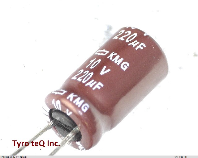 EKMG100ELL221MF11D