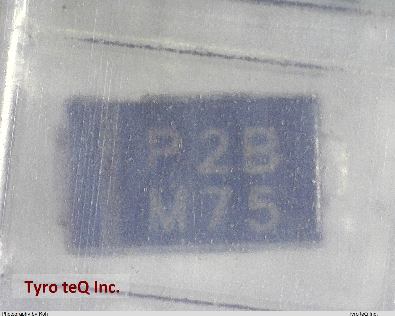 ESH2PB-M3/85A