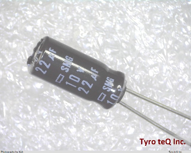 ESMG100ELL220ME11D