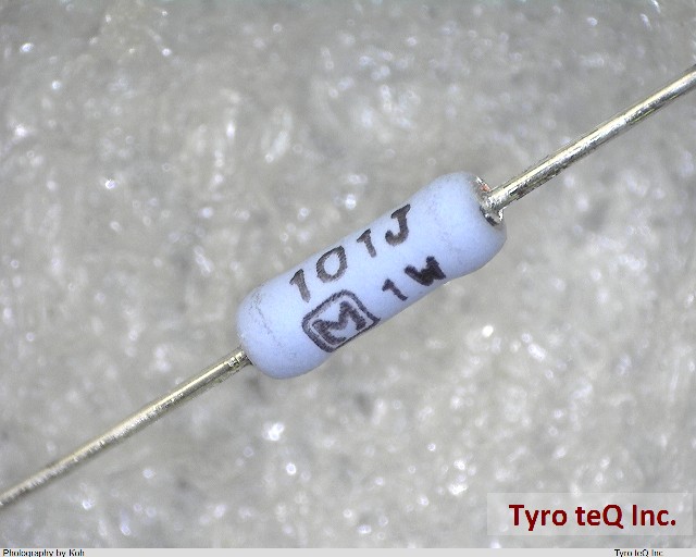 ERG1SJ101