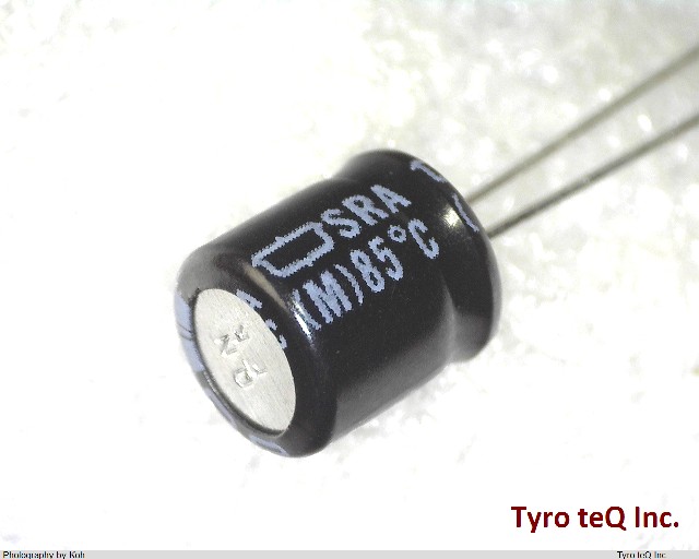 ESRA100ELL101MF07D