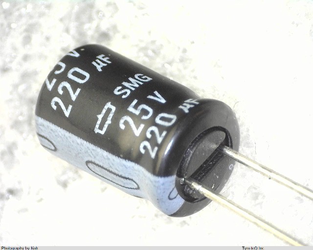 ESMG250ELL221MHB5D