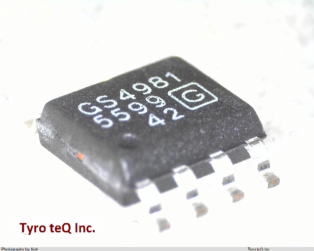 GS4981CKA