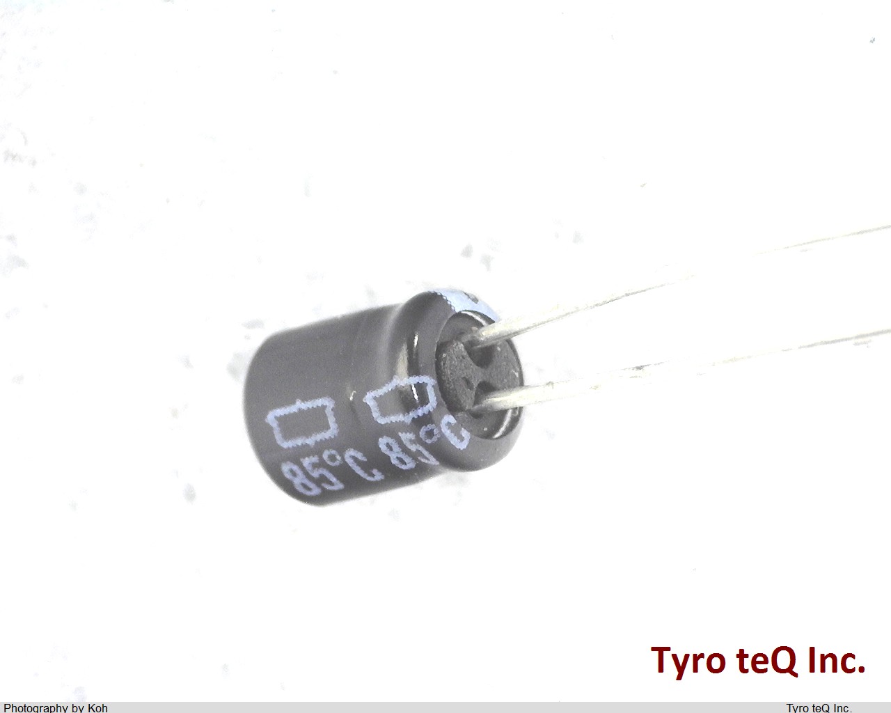 ESRM160ELL220MD05D