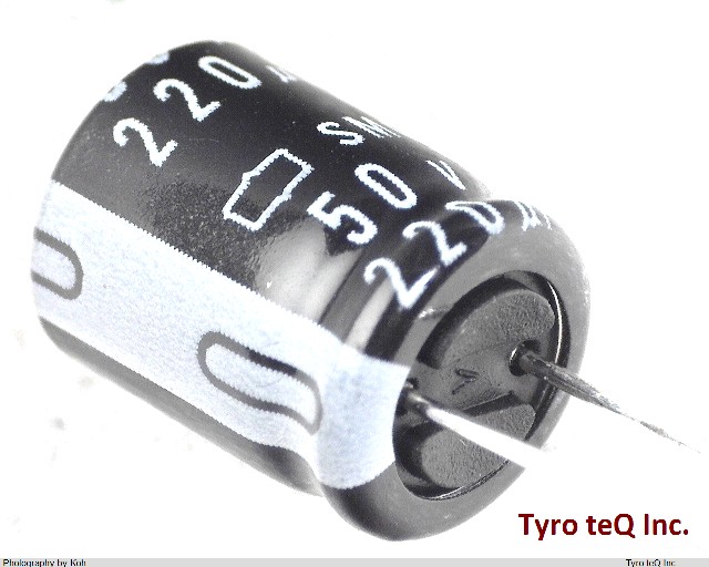 ESMG500ELL221MJC5S