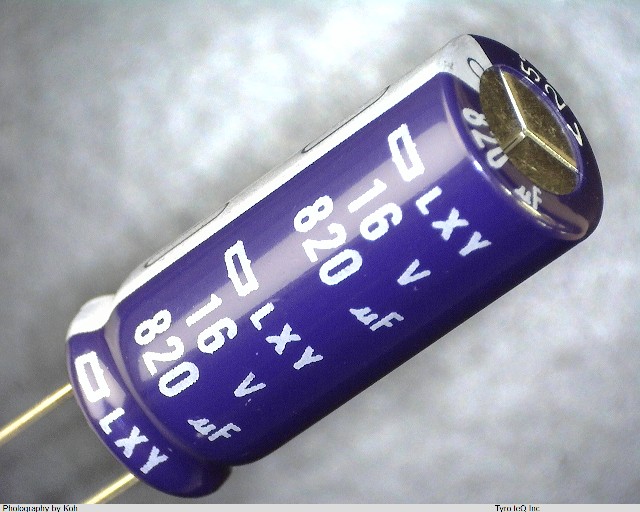 ELXY160ELL821MJ25S