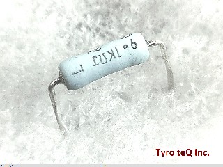 ERG2SJ912P