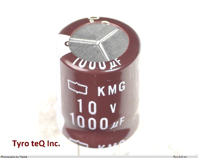 EKMG100ELL102MJC5S