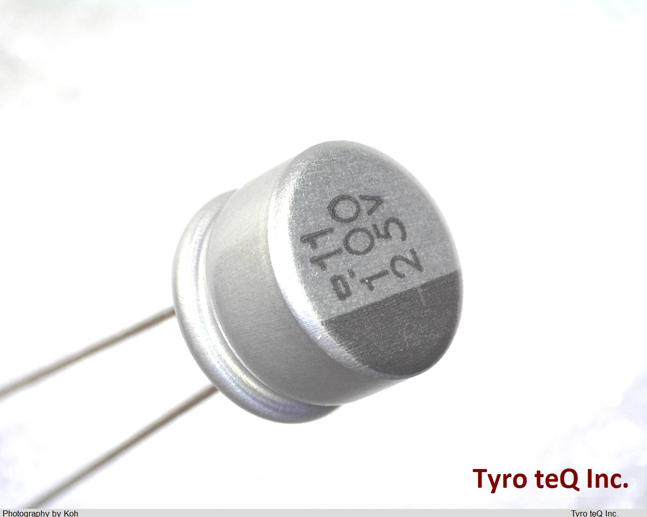 ESRM250ELL101MH05G