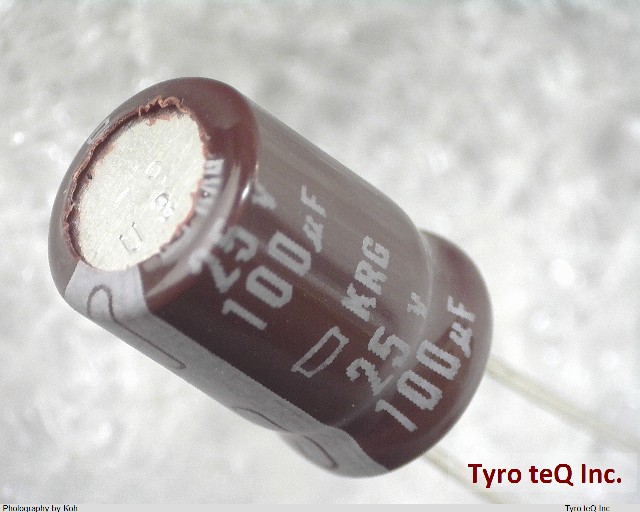 EKRG250ELL101MF09D