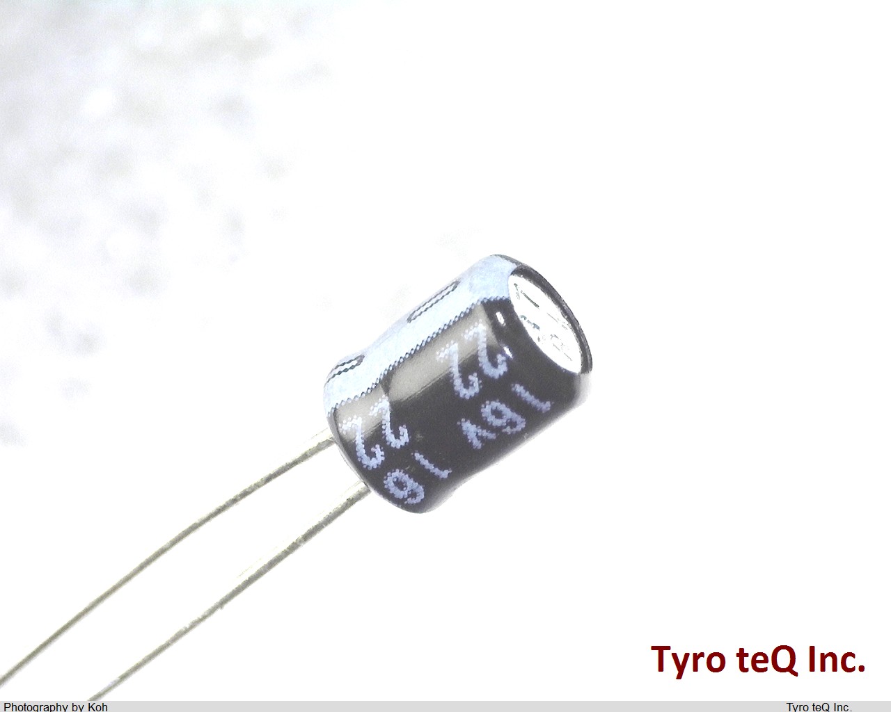ESRM160ELL220MD05D