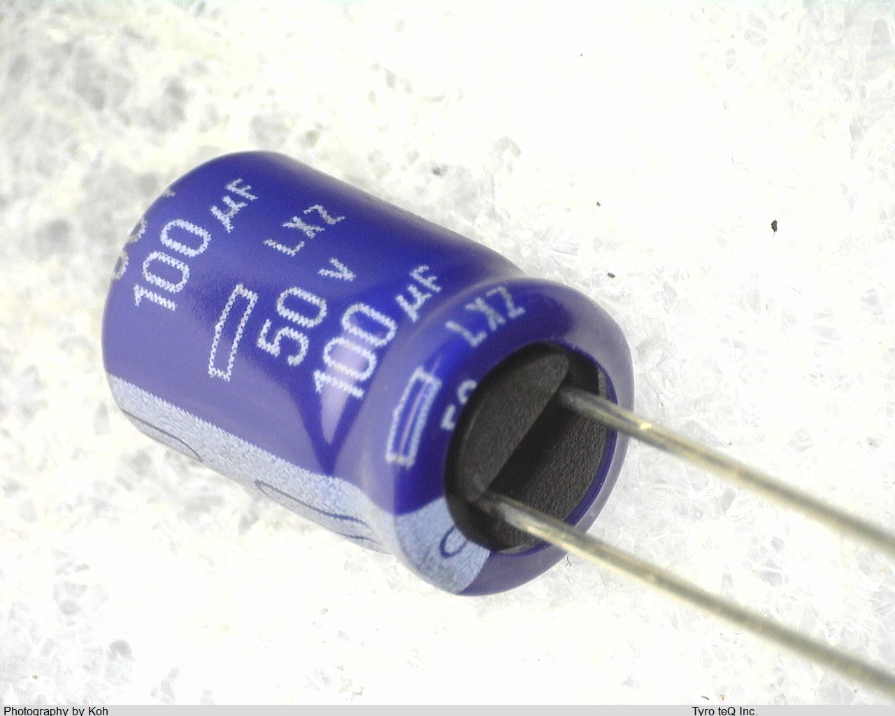 ELXZ500ELL101MH12D