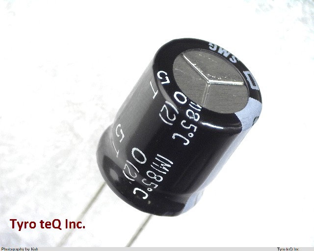 ESMG100ELL102MJC5S