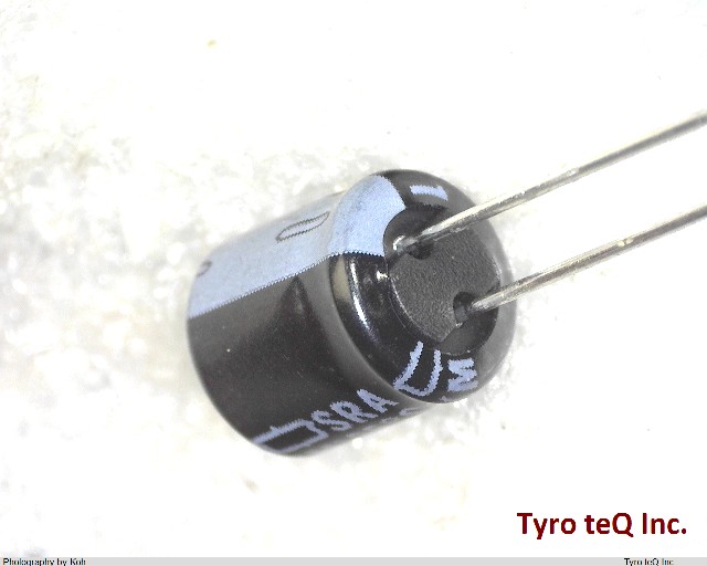 ESRA100ELL101MF07D