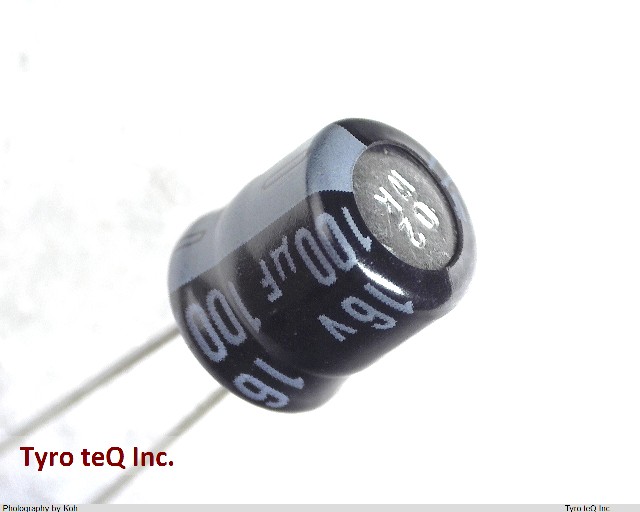 ESRA160ELL101MF07D
