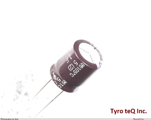EKMG161ELL100MJC5S
