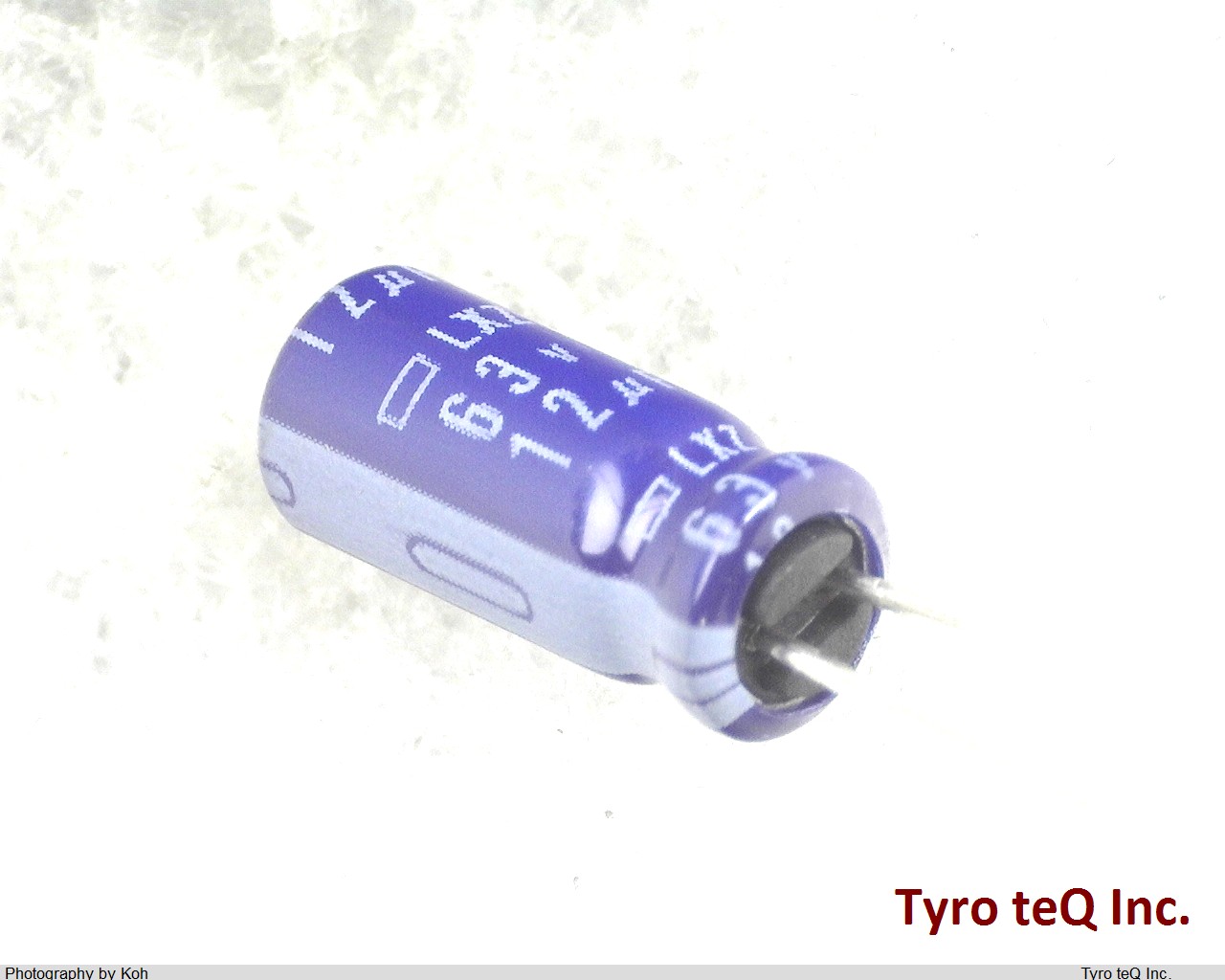 ELXZ630ELL120MEB5D