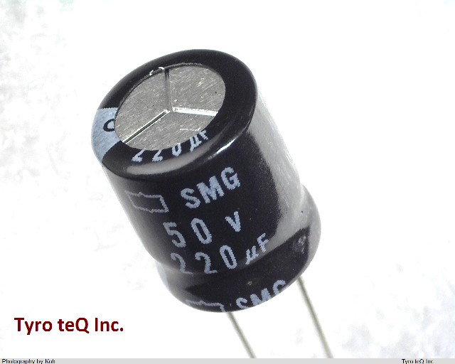 ESMG500ELL221MJC5S