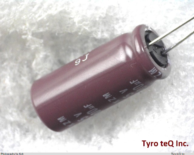 EKZM250ELL102MJ25S