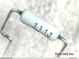 ERG1SJW111E
