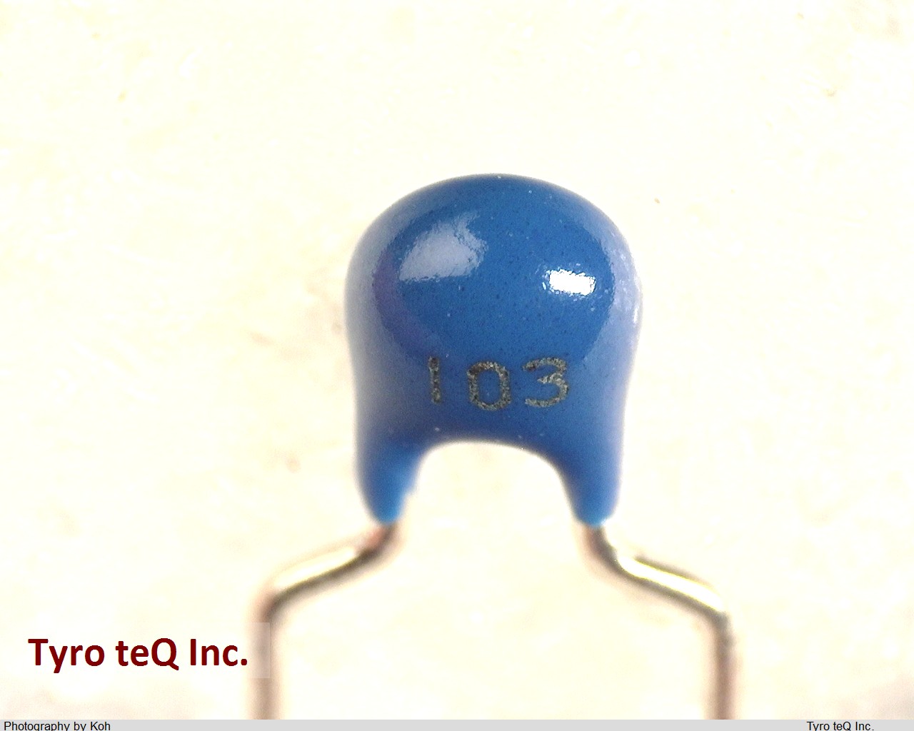FK24X7R2E103K