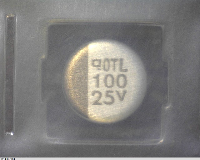 EMVL250ADA101MHA0G