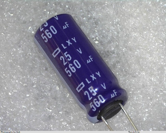 ELXY250ELL561MJ25S