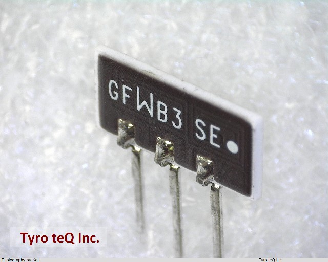 GFWB3