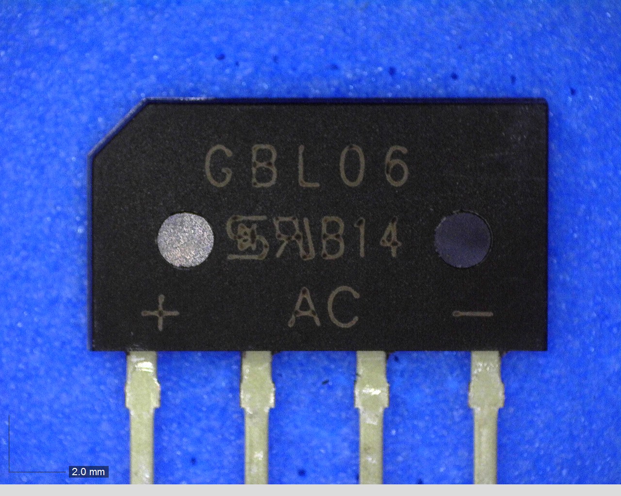 GBL06