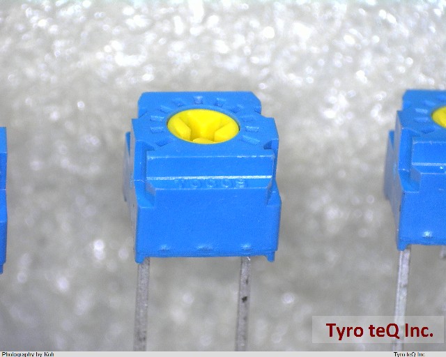 GF063P1T2