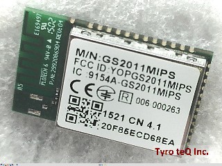 GS2011MIPS