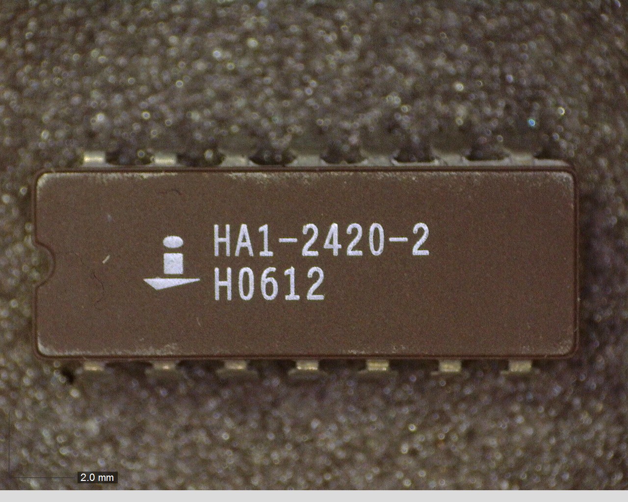 HA1-2420-2