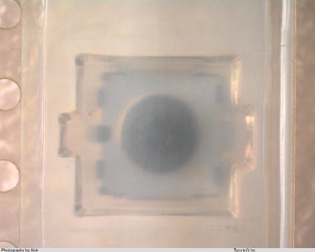 HXW0801-010031