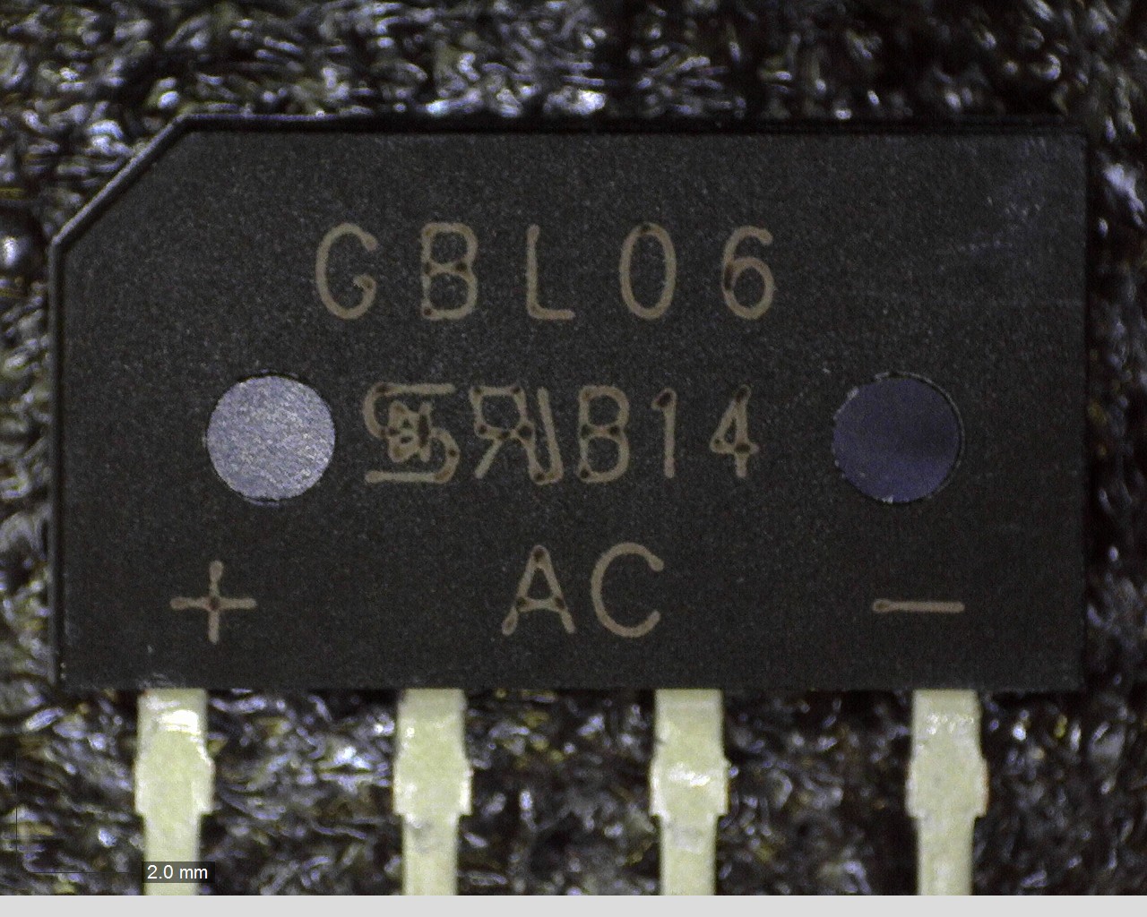 GBL06