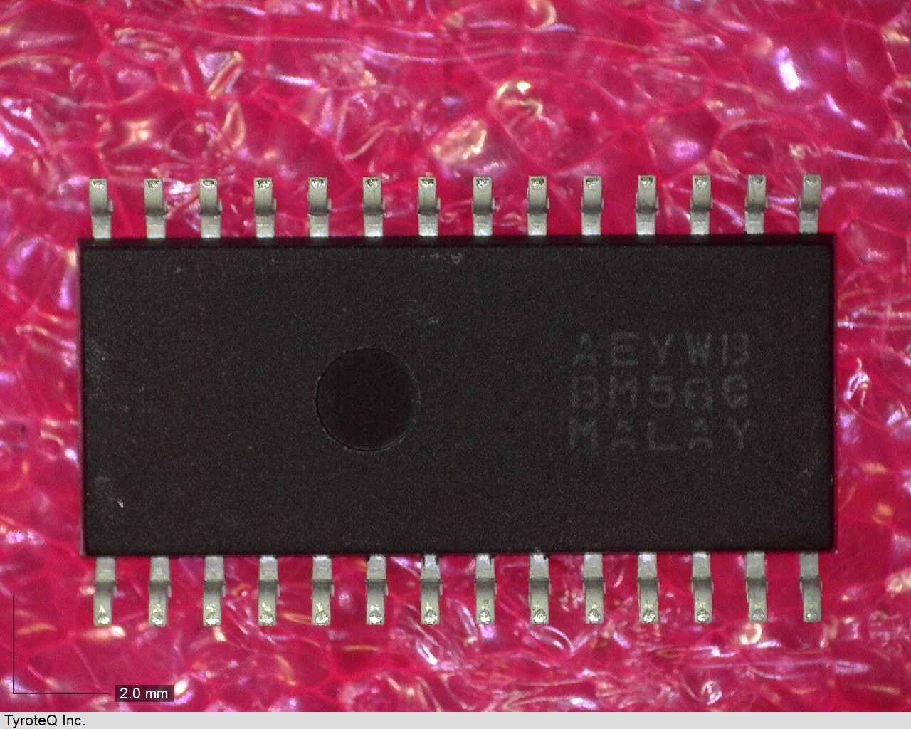 HC55171BIB