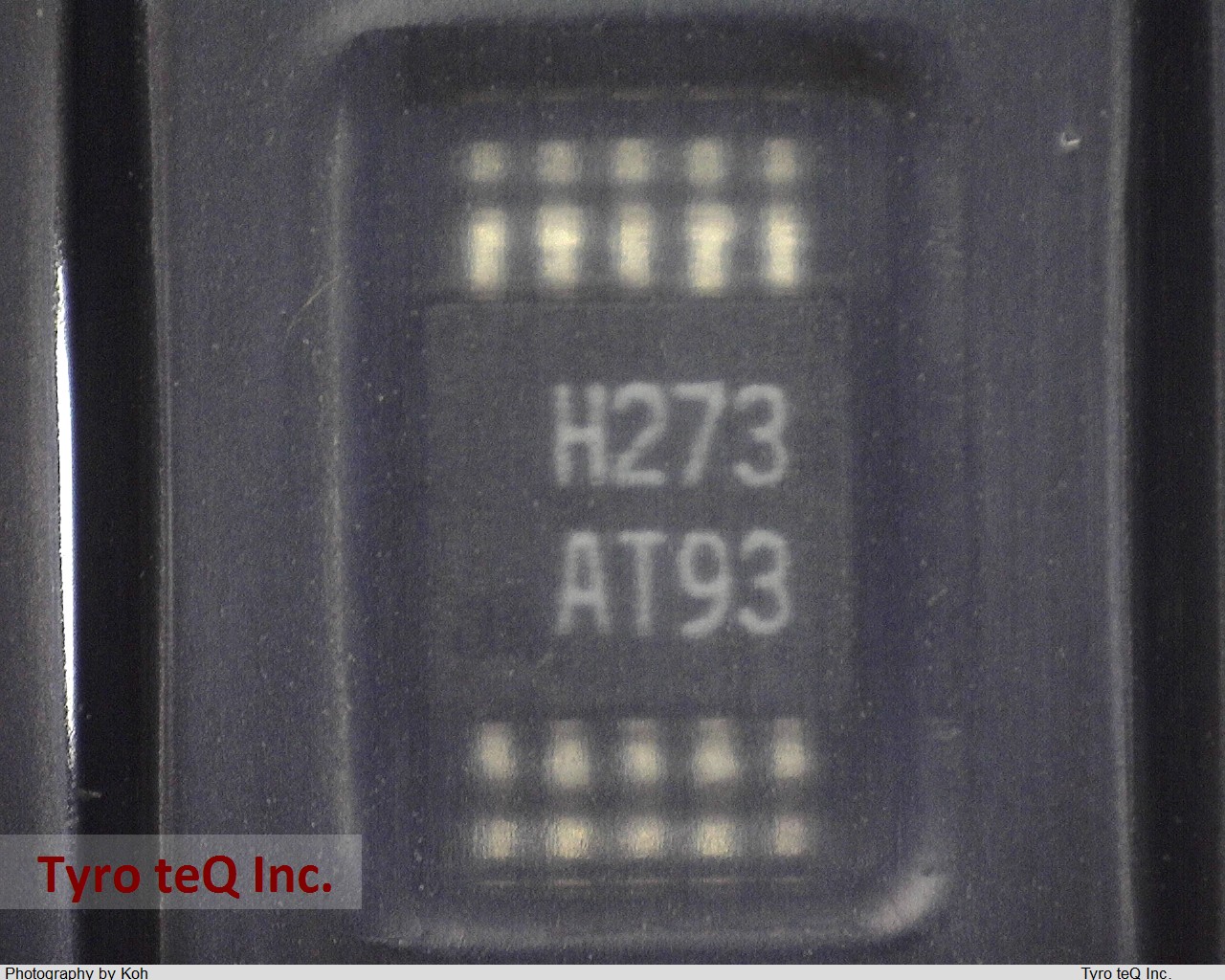 HMC273MS10GE