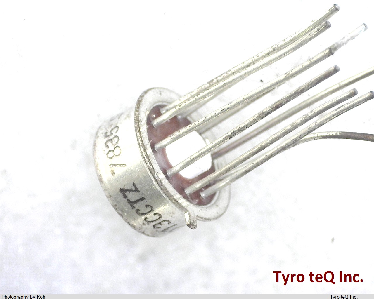ICL8013CCTZ