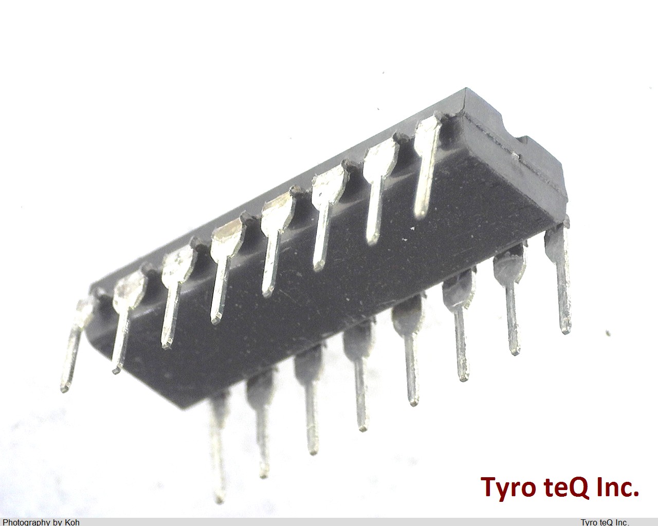 ICL8240CPE