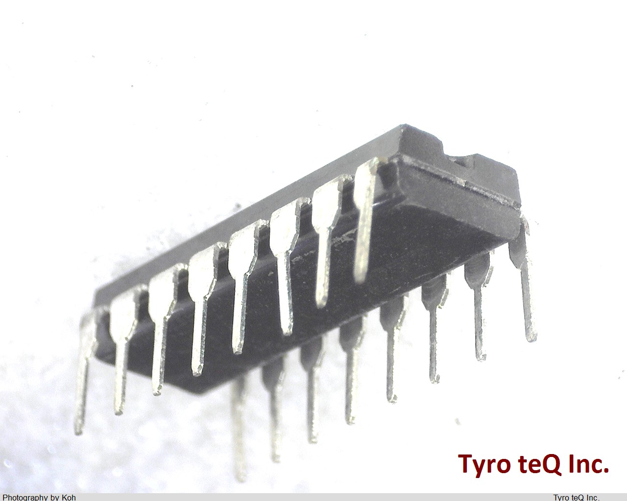 ICL8240CPE