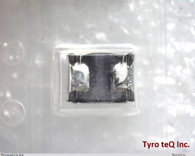 LQH43MN101K03L