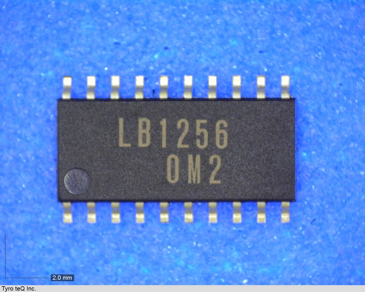 LB1256M