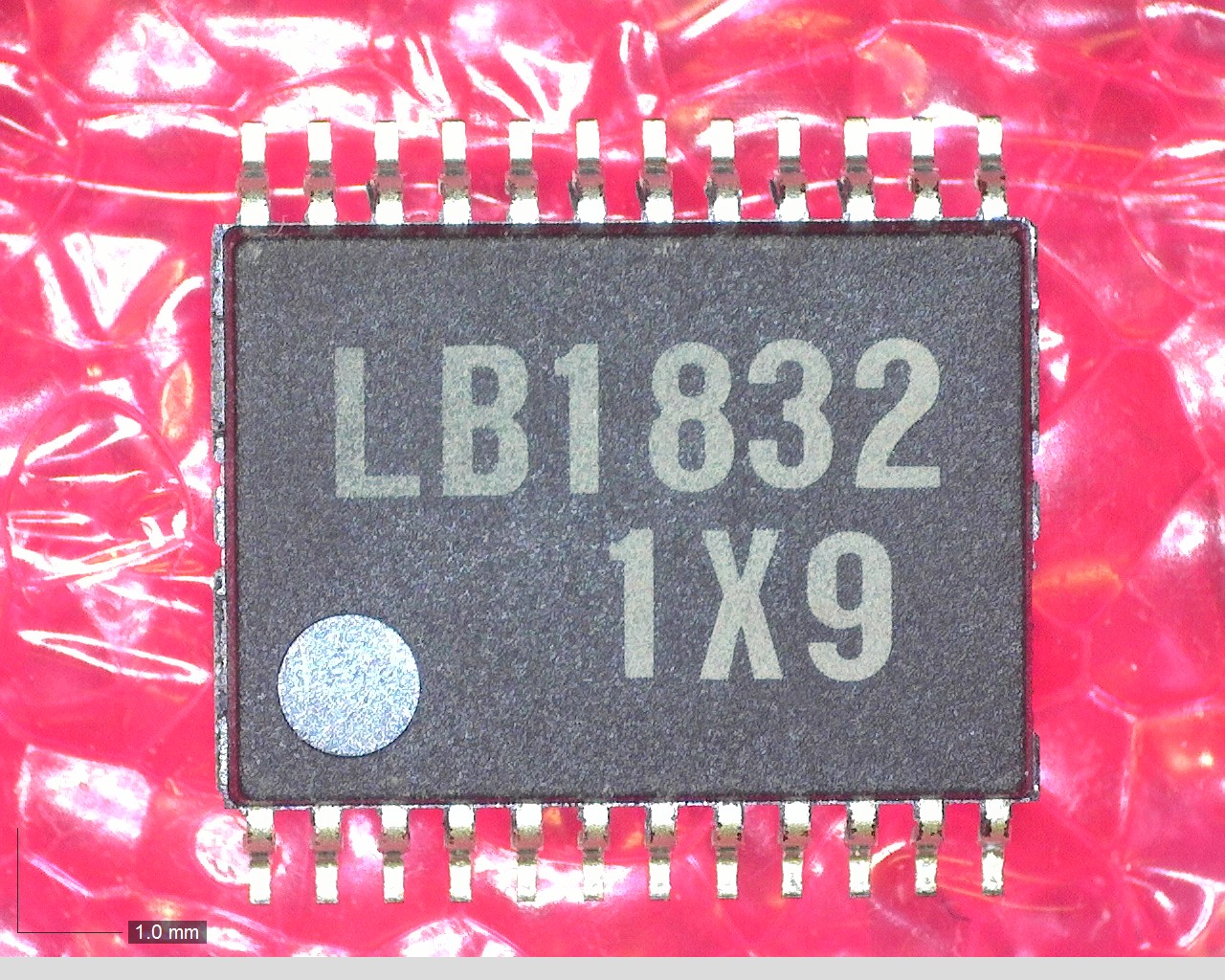 LB1832
