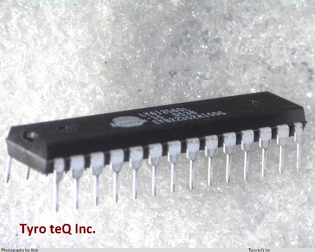 LY61256DL-15E