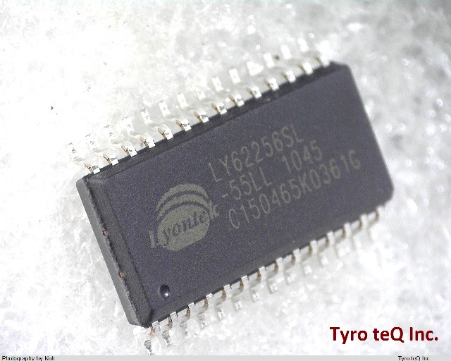 LY62256SL-55LL