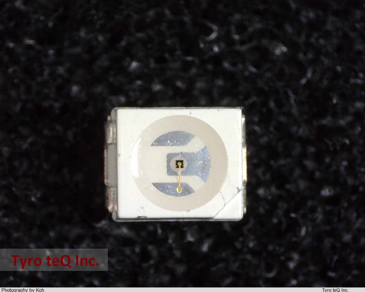 LTST-T680KFKT