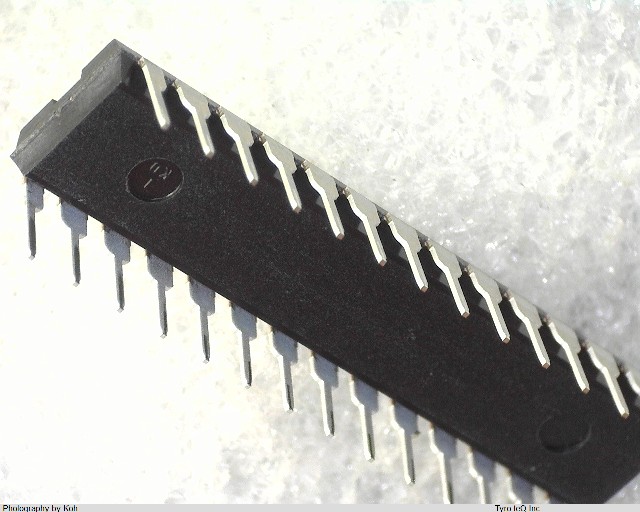 LY61256DL-15E