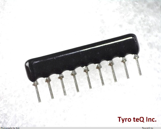 L091S391LF